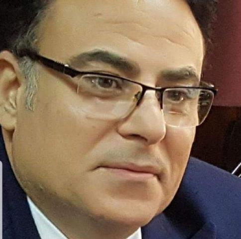 الدكتور وائل العشرى