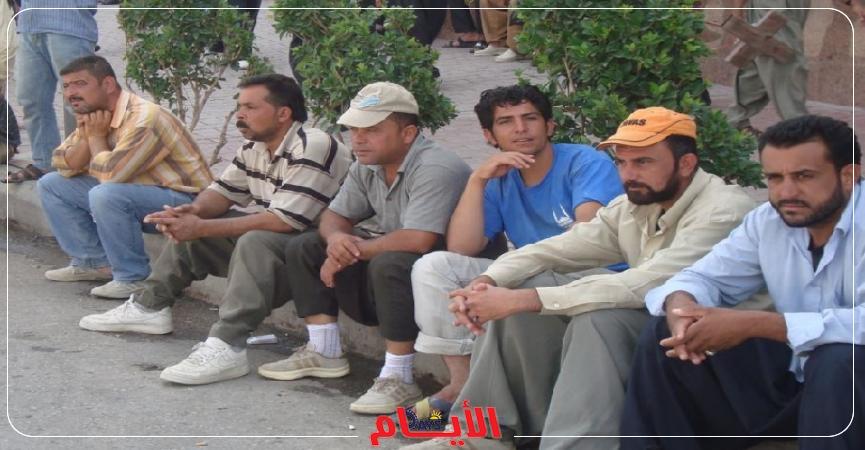 فرص عمل