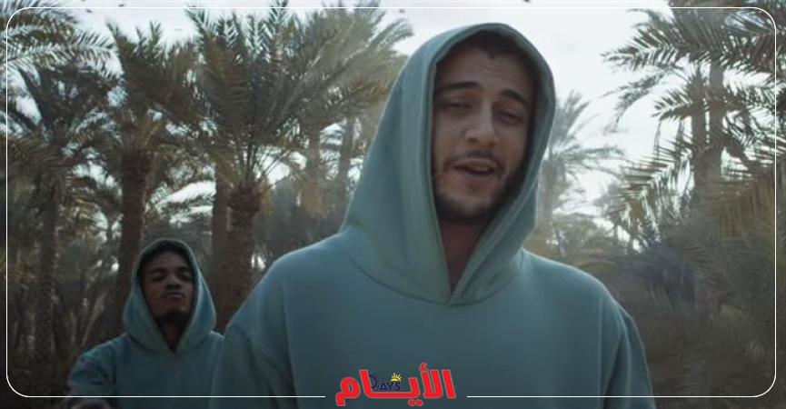 شاهين 