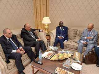 سامح شكري يلتقى وزير الشئون الخارجية والتعاون والموريتانيين في الخارج بالرياض