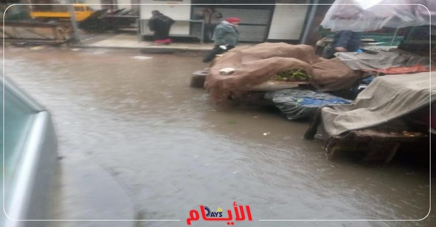 الإسكندرية